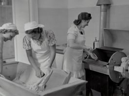 Nursing Perspective with Change and Collaboration for sustainability