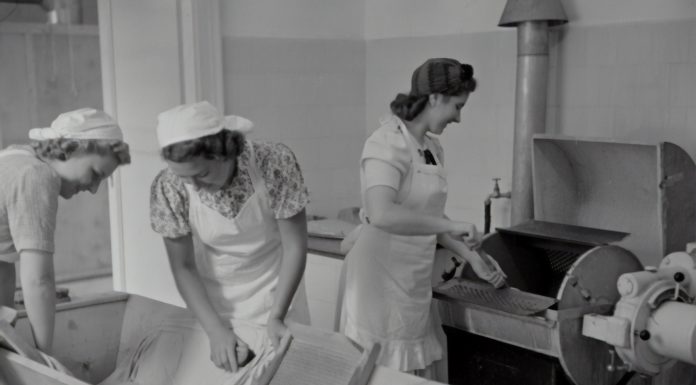 Nursing Perspective with Change and Collaboration for sustainability