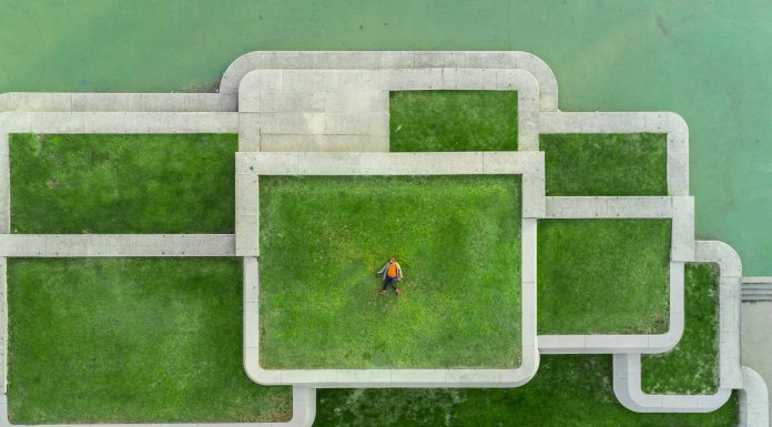Build Well-Being Leader in Leading Organization Sustainability