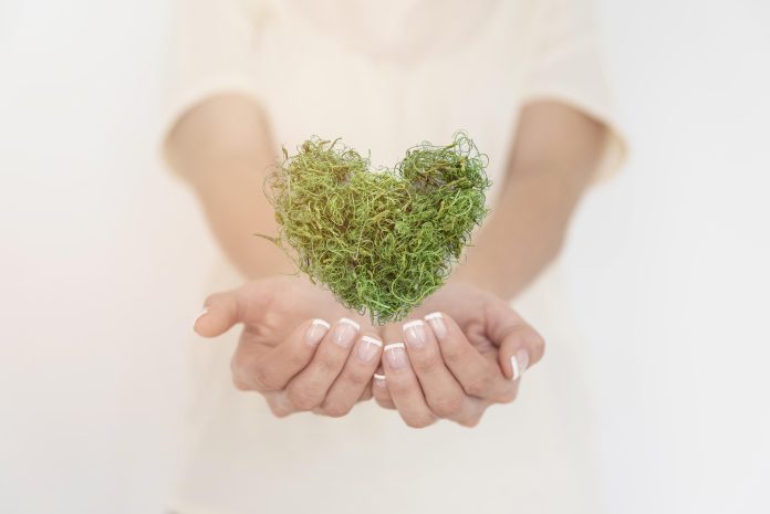 Impact Maker: ความท้าทายในการขับเคลื่อนแนวคิดความยั่งยืน (Sustainability) สู่การพัฒนาสถานพยาบาลและระบบบริการสุขภาพ