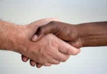 Sustainability Tale”:Diversity of Sustainability