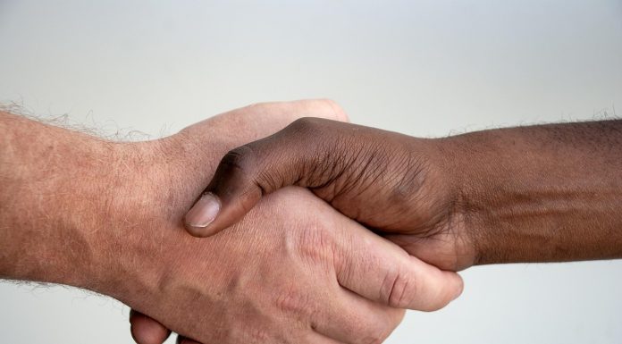 Sustainability Tale”:Diversity of Sustainability